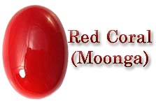 Red Coral Gemstone Moonga Gemstone for Planet Mars